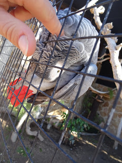 With the parrot in Marineland, Palma de Mallorca