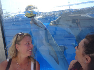 With the dolphins in Marineland, Palma de Mallorca