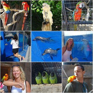 Marineland, Palma de Mallorca