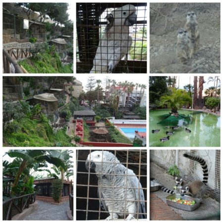 1518387025759 E1524322089790