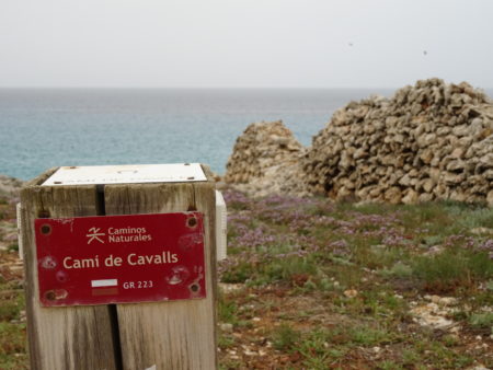 DSC08951 E1527683690402