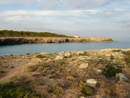 DSC09000 E1531842858691