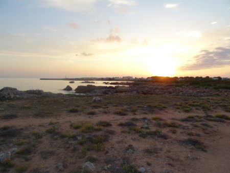 DSC09067 E1531842690943