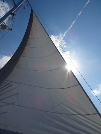 DSC09302 E1535646689518