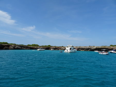 DSC09373 E1535667252779