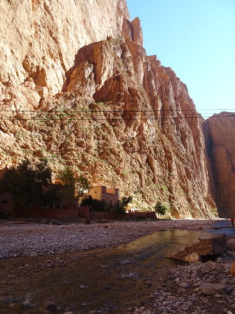 DSC00519 E1546722726708