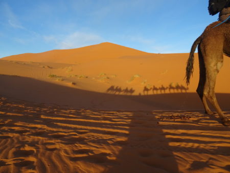 DSC00560 E1546723763267