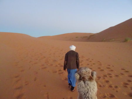 DSC00626 E1546725045435