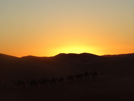 DSC00640 E1546725292679