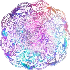 Everything happens for a reason