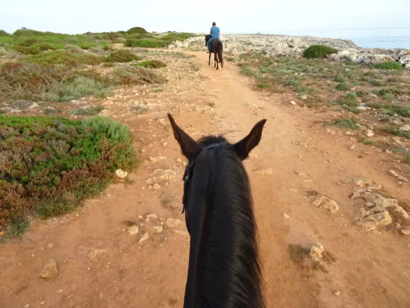 Horseriding and Kayak: Experiencing two amazing excursions