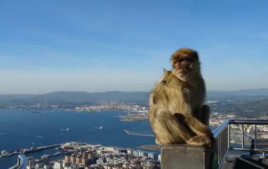 Visiting British Territory: 7 facts about Gibraltar